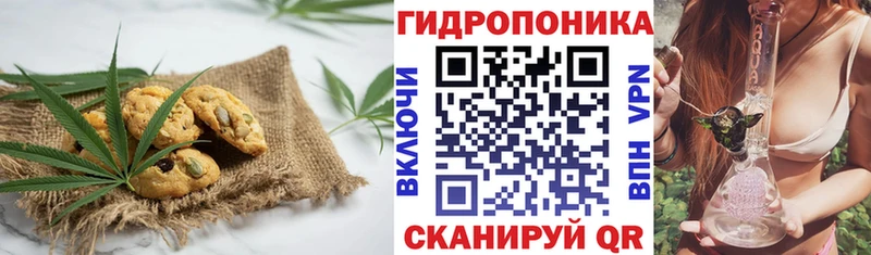 закладки  Каневская  Печенье с ТГК конопля 