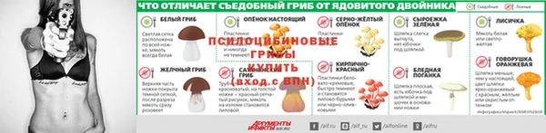 дурь Богданович
